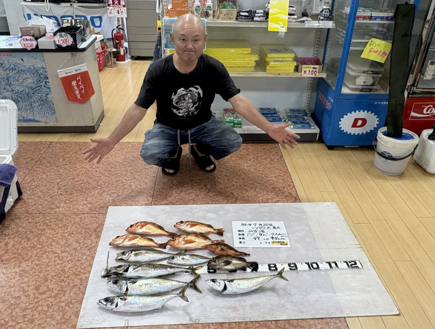 アジ サバ ウスメバル